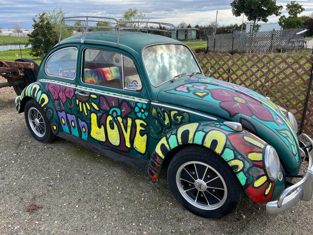 1966 Volkswagen 